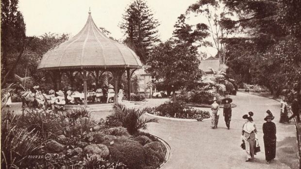 Qld botanic gardens 1920